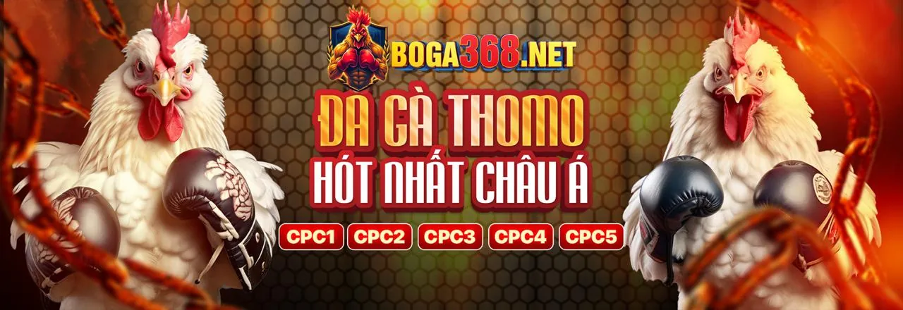 Lợi ích khi sử dụng ứng dụng ffok chính thức